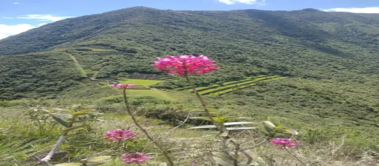 Choquekirau